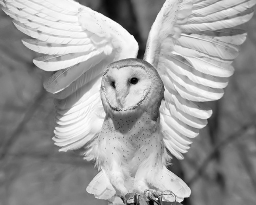 tumblr_m06eb1fe9s1roq6l9o1_500