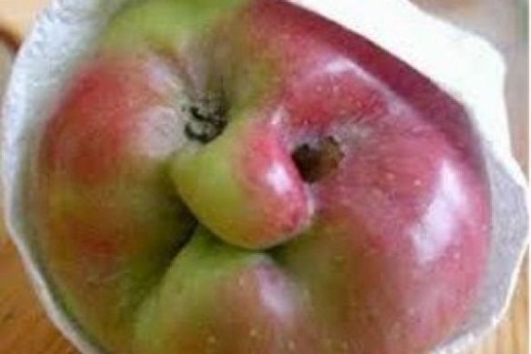 jamie-oliver-campaigns-for-ugly-vegetables